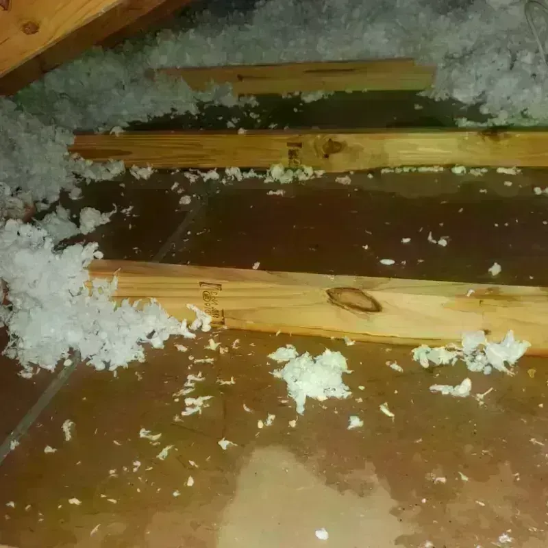 Attic Water Damage in Union County, FL